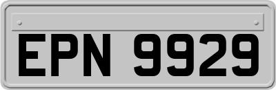 EPN9929