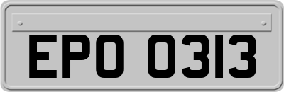 EPO0313