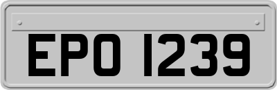 EPO1239
