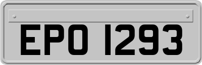 EPO1293
