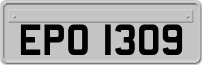 EPO1309