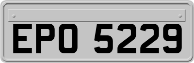 EPO5229