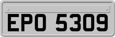 EPO5309