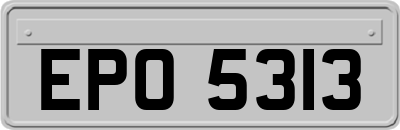 EPO5313