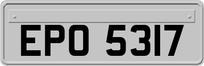EPO5317