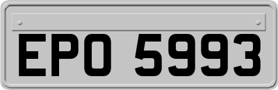 EPO5993