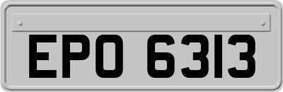 EPO6313