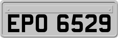 EPO6529