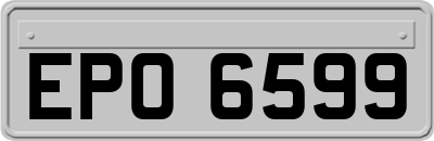 EPO6599