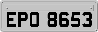 EPO8653