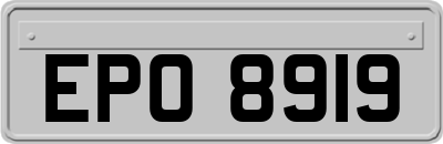 EPO8919