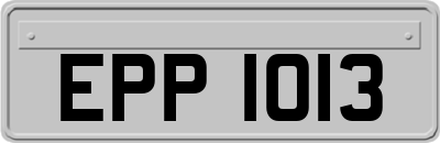 EPP1013