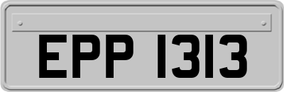 EPP1313