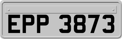 EPP3873