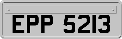 EPP5213
