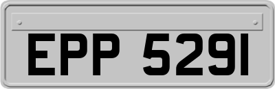 EPP5291
