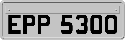 EPP5300
