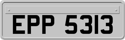 EPP5313