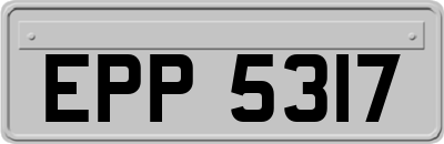 EPP5317