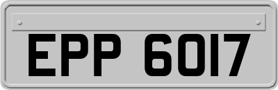 EPP6017