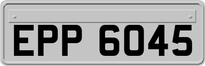 EPP6045