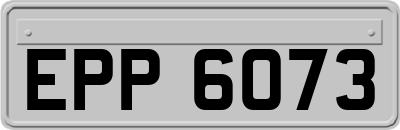 EPP6073