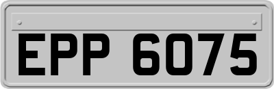 EPP6075