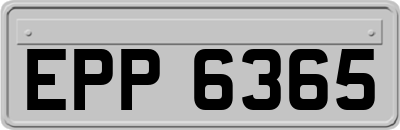 EPP6365