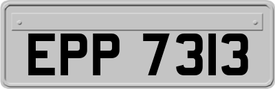 EPP7313