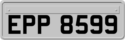 EPP8599