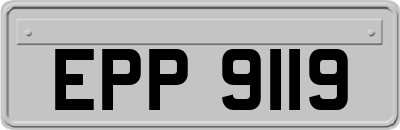 EPP9119