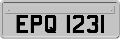 EPQ1231