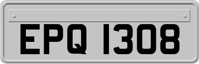 EPQ1308