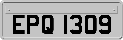EPQ1309