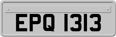 EPQ1313
