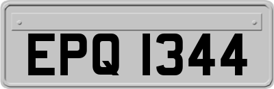 EPQ1344
