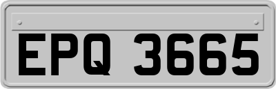 EPQ3665