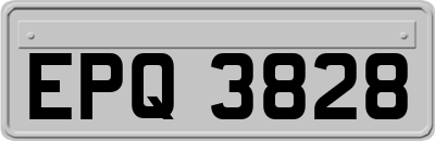 EPQ3828
