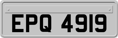 EPQ4919