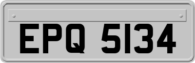 EPQ5134