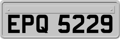 EPQ5229
