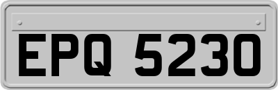 EPQ5230