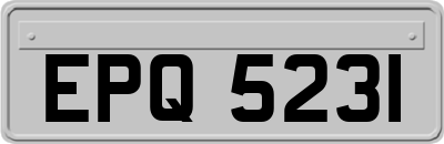 EPQ5231