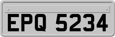EPQ5234