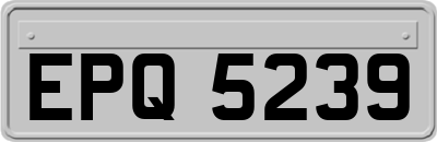 EPQ5239