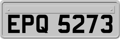 EPQ5273