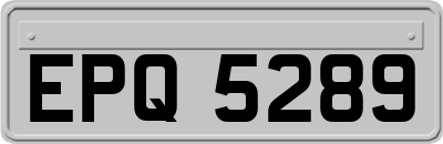 EPQ5289
