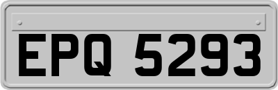 EPQ5293