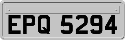 EPQ5294
