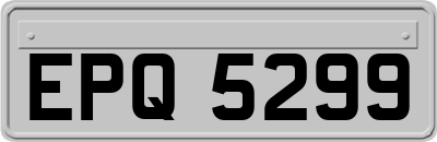 EPQ5299